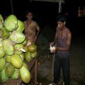 A Fresh Coconut (bangalore_100_1857.jpg) South India, Indische Halbinsel, Asien